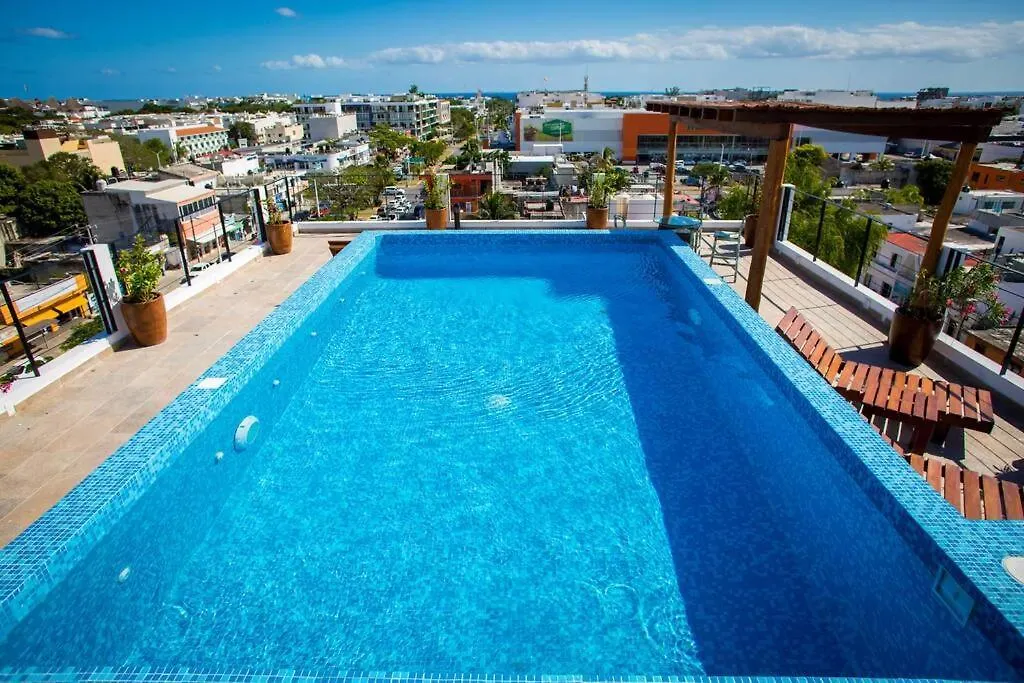 Apartment Wonderful Loft Near The 5Th Ave And The Beach. Playa del Carmen